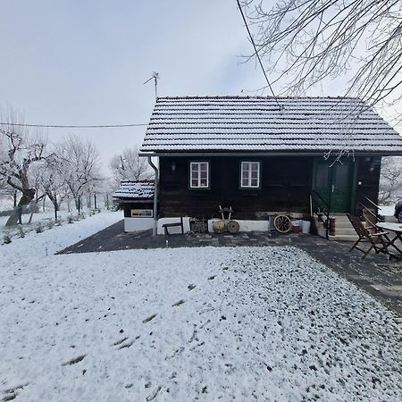 Holiday Home Hizica V Plavem Trnacu Gornja Stubica Bagian luar foto