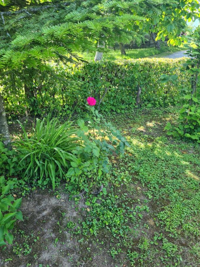 Holiday Home Hizica V Plavem Trnacu Gornja Stubica Bagian luar foto