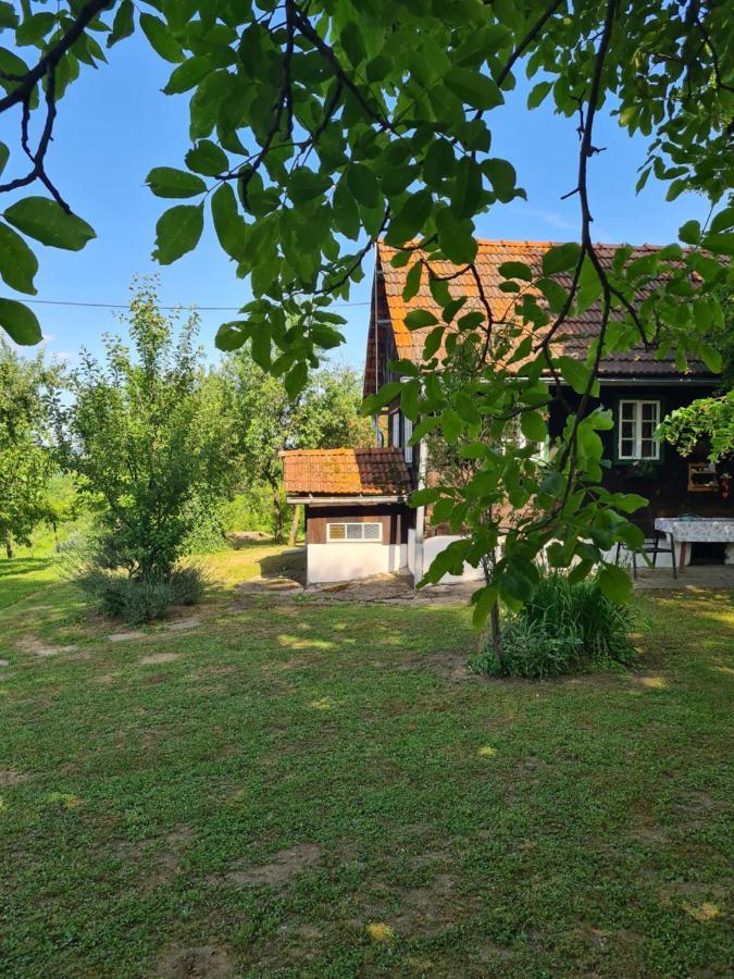 Holiday Home Hizica V Plavem Trnacu Gornja Stubica Bagian luar foto