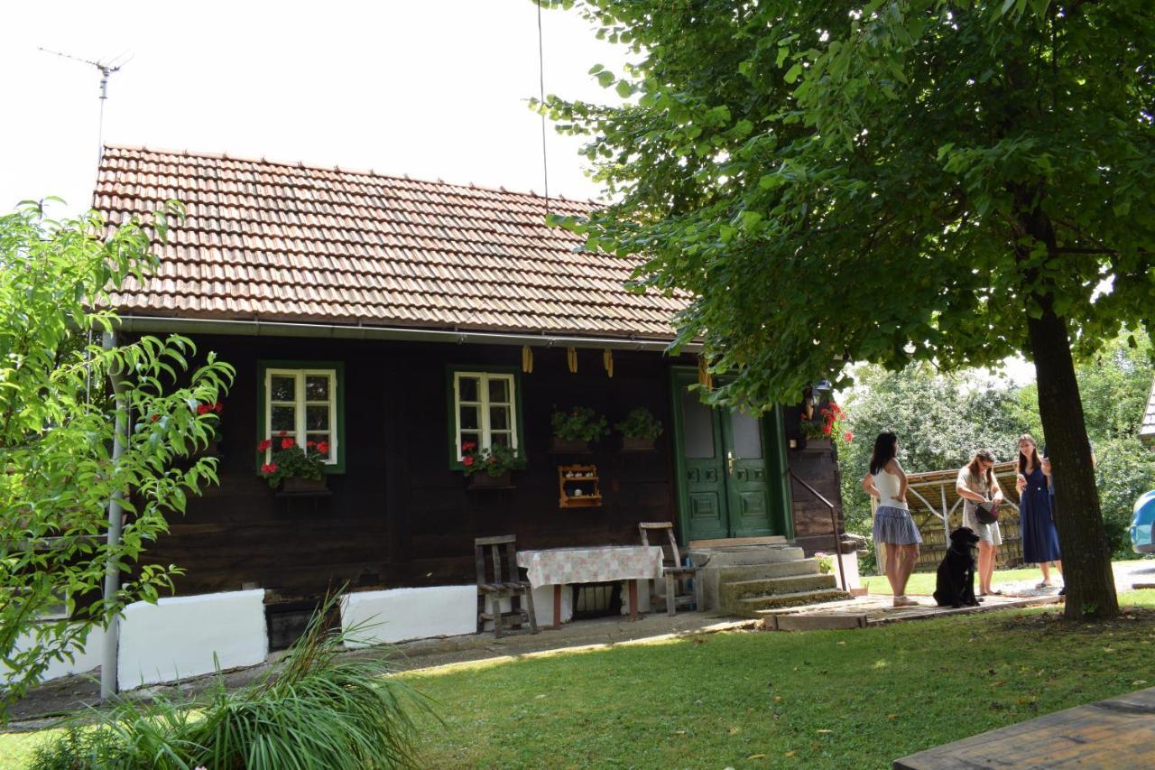 Holiday Home Hizica V Plavem Trnacu Gornja Stubica Bagian luar foto