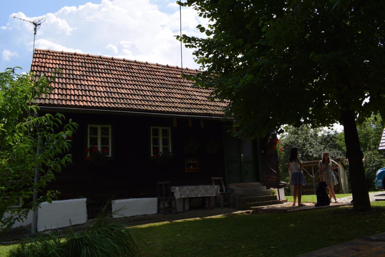 Holiday Home Hizica V Plavem Trnacu Gornja Stubica Bagian luar foto