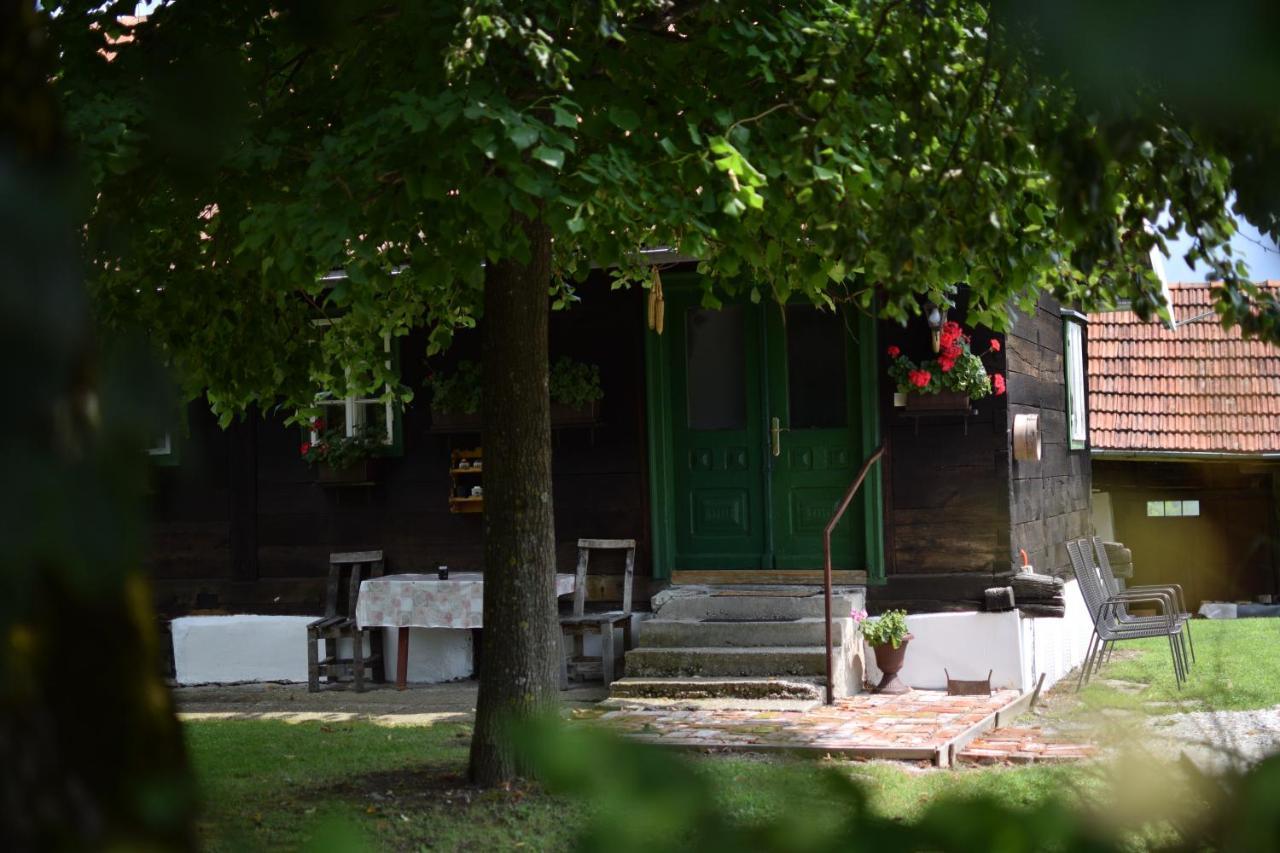 Holiday Home Hizica V Plavem Trnacu Gornja Stubica Bagian luar foto