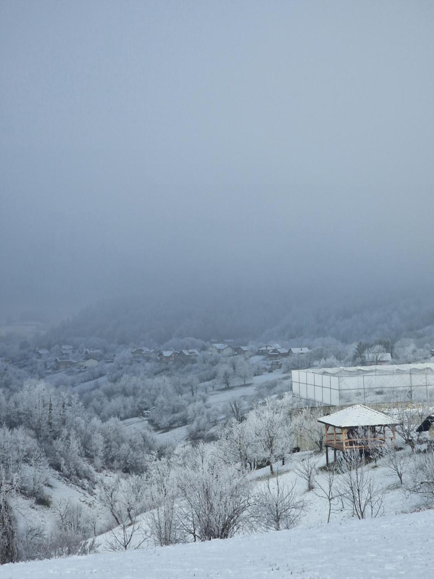 Holiday Home Hizica V Plavem Trnacu Gornja Stubica Bagian luar foto
