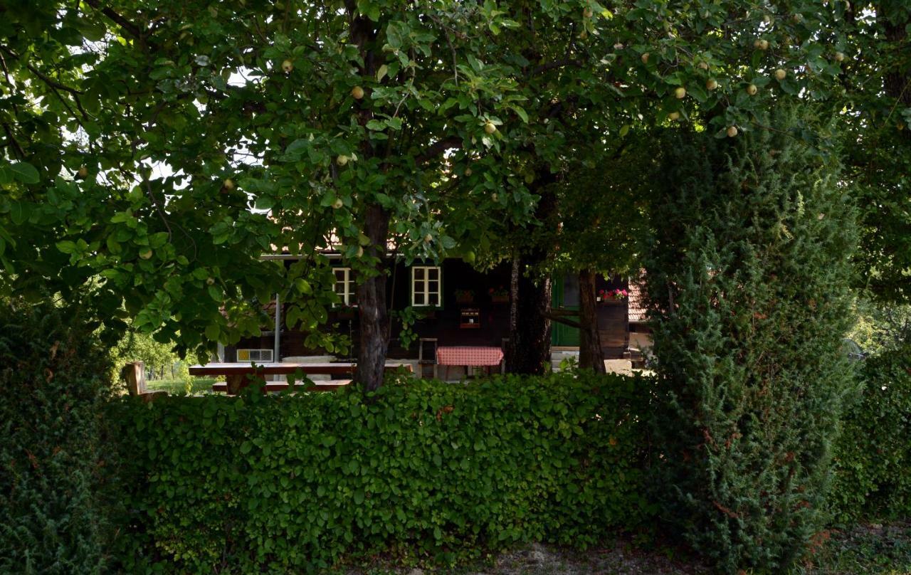 Holiday Home Hizica V Plavem Trnacu Gornja Stubica Bagian luar foto