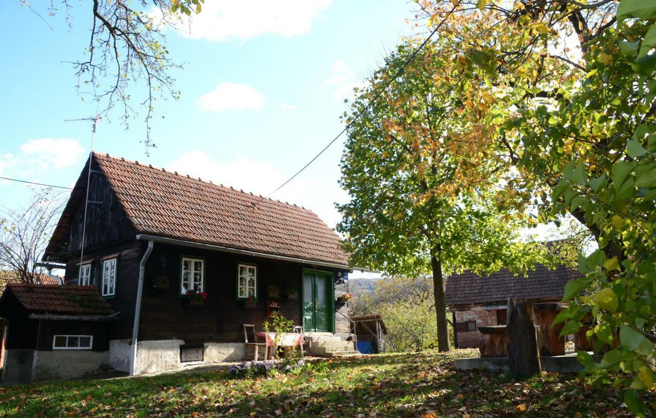 Holiday Home Hizica V Plavem Trnacu Gornja Stubica Bagian luar foto