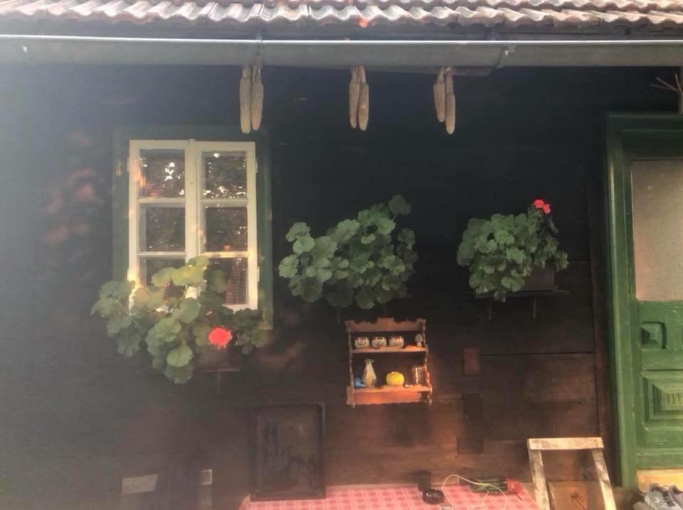 Holiday Home Hizica V Plavem Trnacu Gornja Stubica Bagian luar foto
